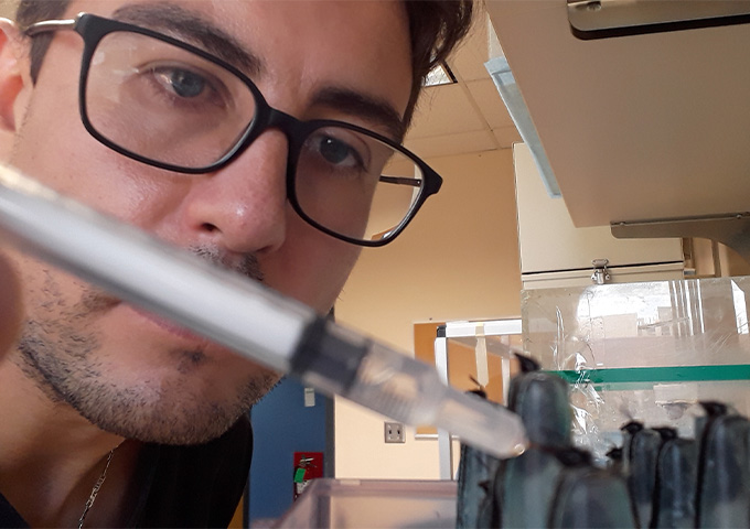 innovacion-para-proteger-cerebro-de-polinizadores.jpg