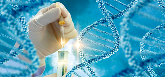 Convocatoria Médico Servicio Social Obligatorio en investigación - CIGGUR
