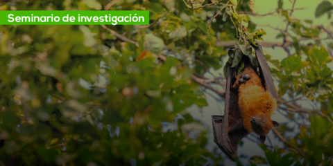 Mecanismos que regulan las comunidades bióticas tropicales