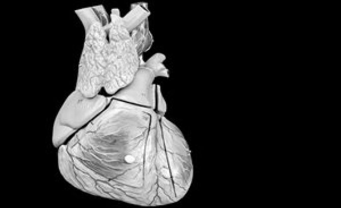 Especialización en Cardiología Intervencionista y Hemodinamia