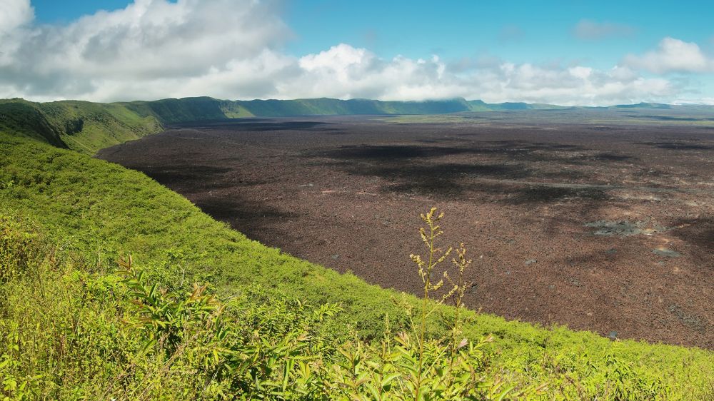 mision-galapagos