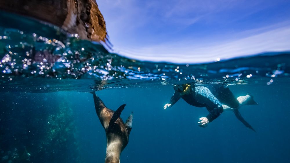 mision-galapagos